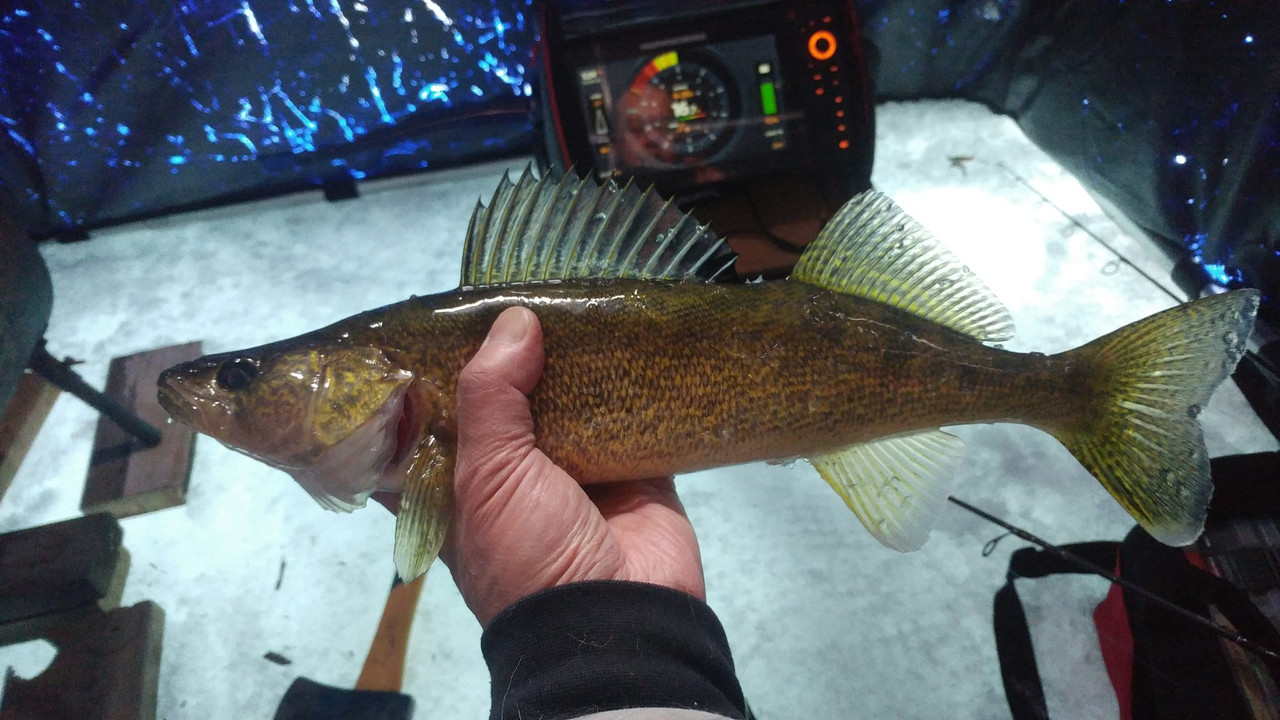 328521983_1044016733239911_7281906755126925432_n