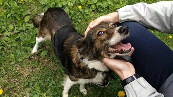 23927828-739A-4934-B34E-CF96D7930810