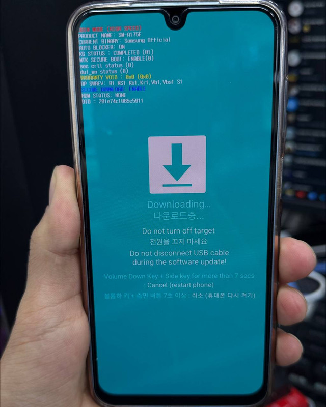 photo 2026 01 29 18 12 57