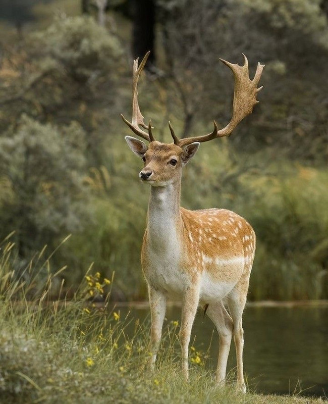 0FA77055 B3F4 4ABB 9A6D 83D63A3A0B9B