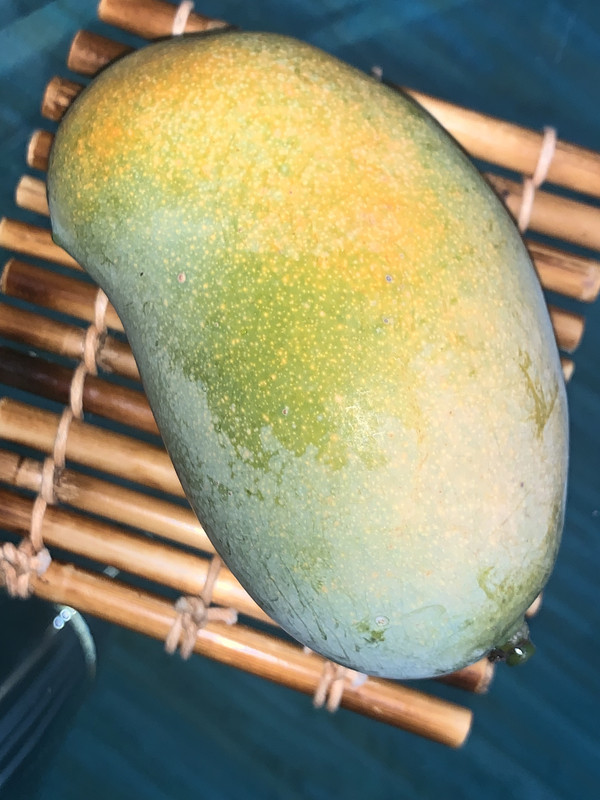 D1153796-A496-499C-AF4D-45EA0A7BA318