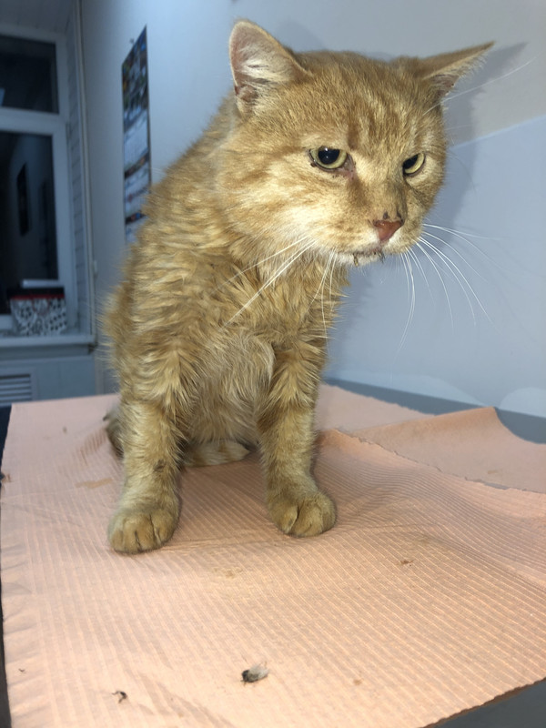 492C0679-A91C-4CFC-B3CD-0FDB1EFBD244