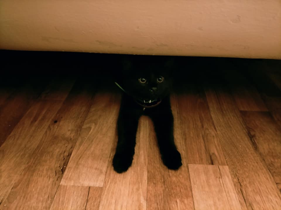 126519264_187723026237269_7512959403907970235_n