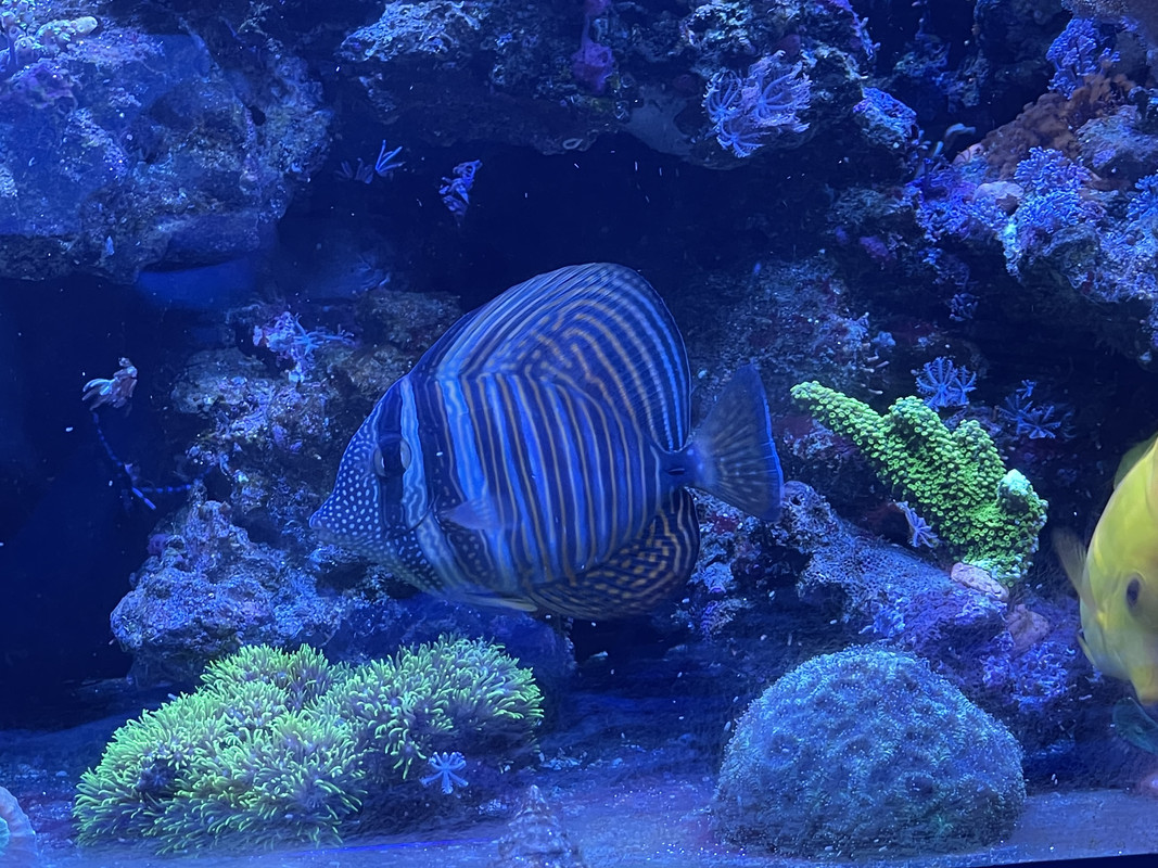 71BE0164-4966-45A1-87F7-09B34DAE0B9C