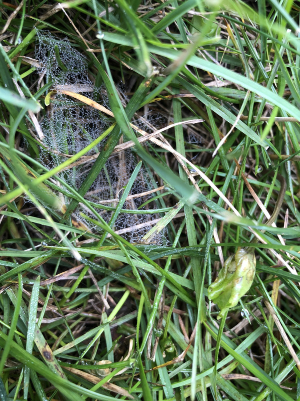 5E90E4E4-D777-46FD-961E-CC62D45274EB