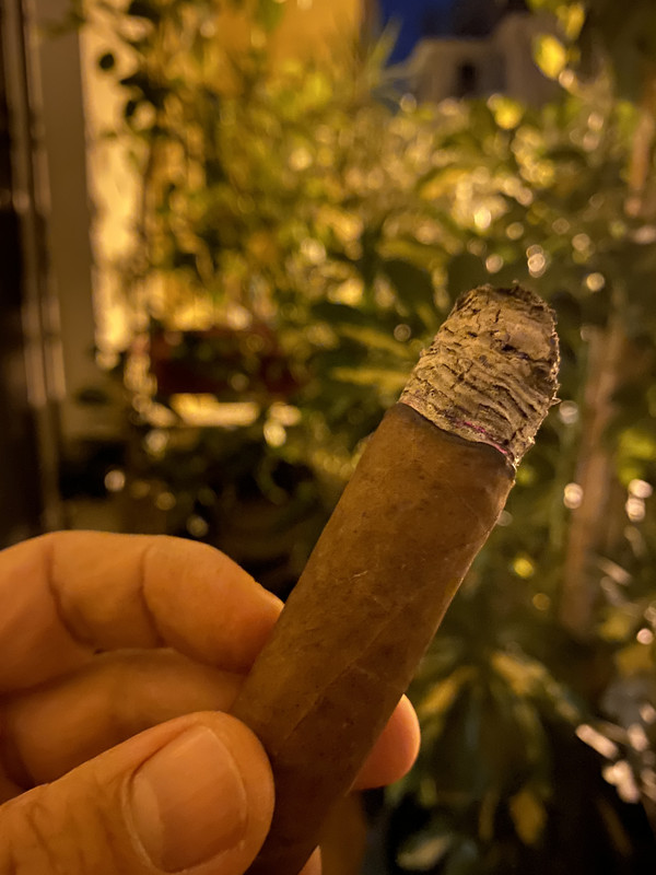 3E8FD892-3560-4C87-AADE-895EE62DB02F