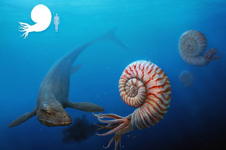 508960a314f3921acc259e4355147ae9