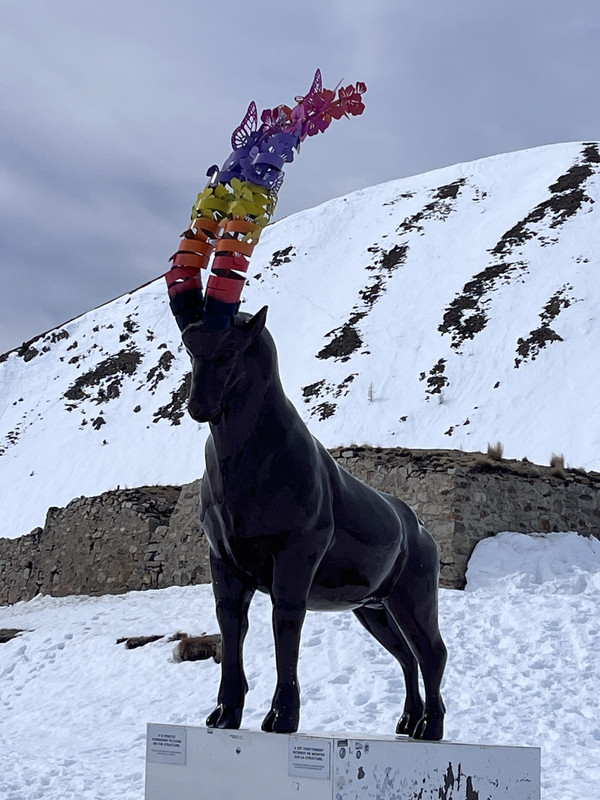 [Image: IMG-8551.jpg]