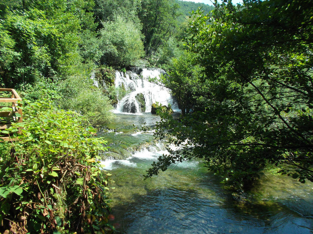 DSCF2394
