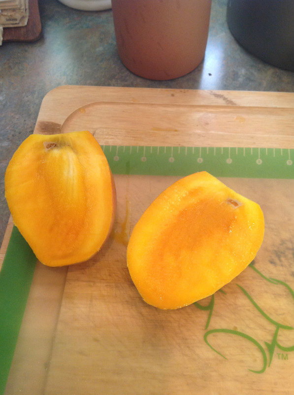 c61f2b5a3266444a265eeef11aede8cc