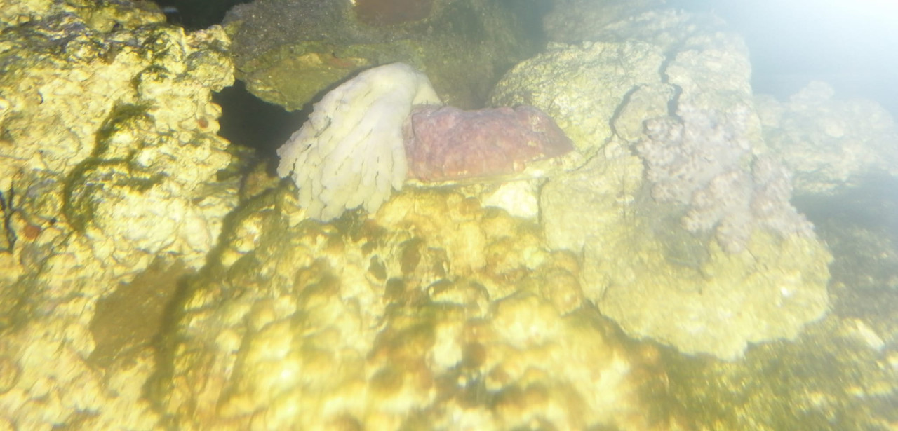 B299B773-A70C-4377-911D-7BE0BCBD0A39