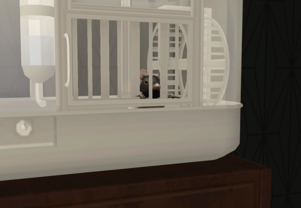 Sims2-EP9-RPC-2021-11-19-21-20-41-09