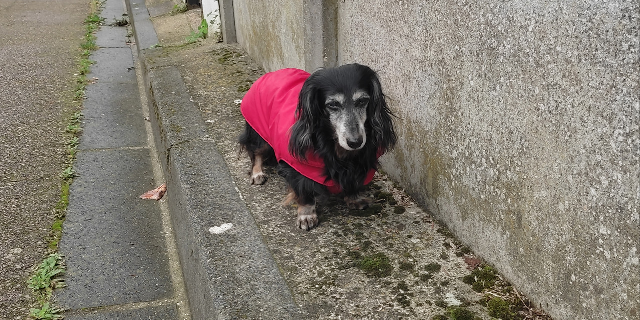 [Image: IMG-20231112-223424.jpg]