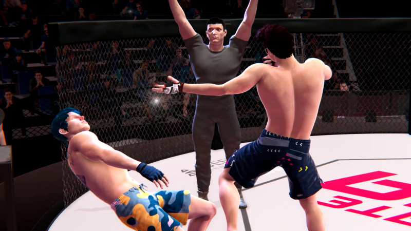 Ultimate MMA (2020)