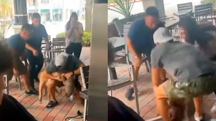 Se viraliza ataque de pitbull a Chihuahua en restaurante Pet Friendly