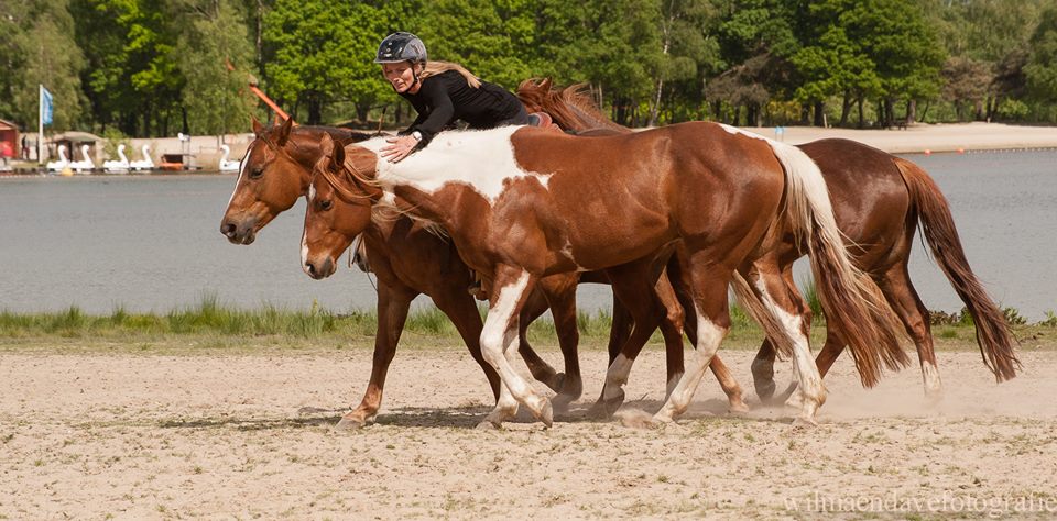 2Lazy7Ranch