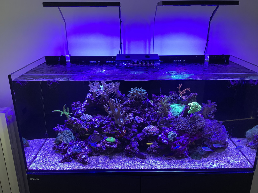 E03F4EE0-7274-4B77-B816-2B565C98BCF9