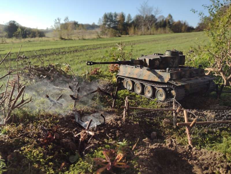 IMG_20241024_155345239_BURST001