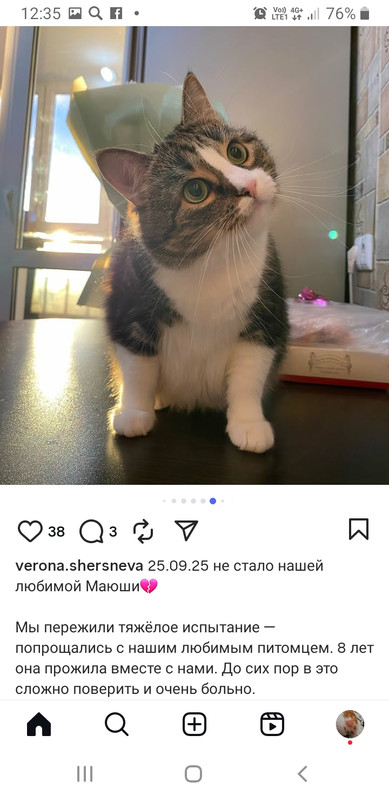 Screenshot 20251101 123556 Instagram