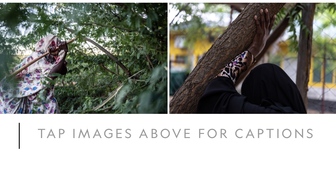 B2-C0-CBD4-F67-A-4221-BB81-906-D15903390