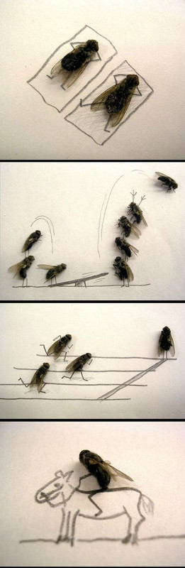 c78c66f0f2179dd2927f2c2c93502ace