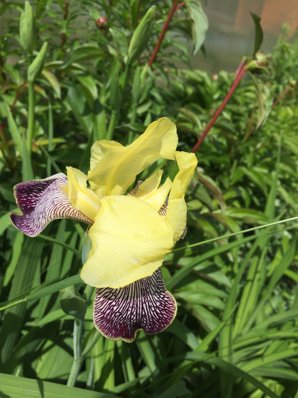 20C19F5F-F484-4D85-992E-4F1F6D86426C