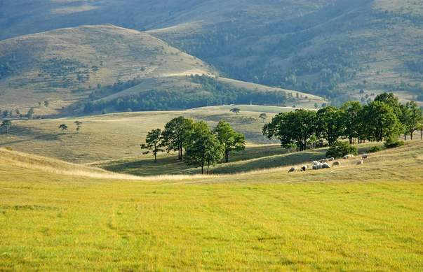 moja-srbija.jpg