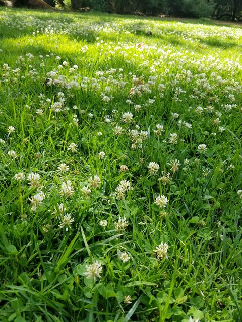 [Image: 20190629-161025.jpg]