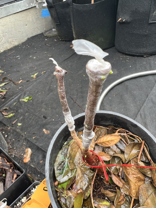 DBE3ECF3-83B7-4BB6-8B39-069A308075F0