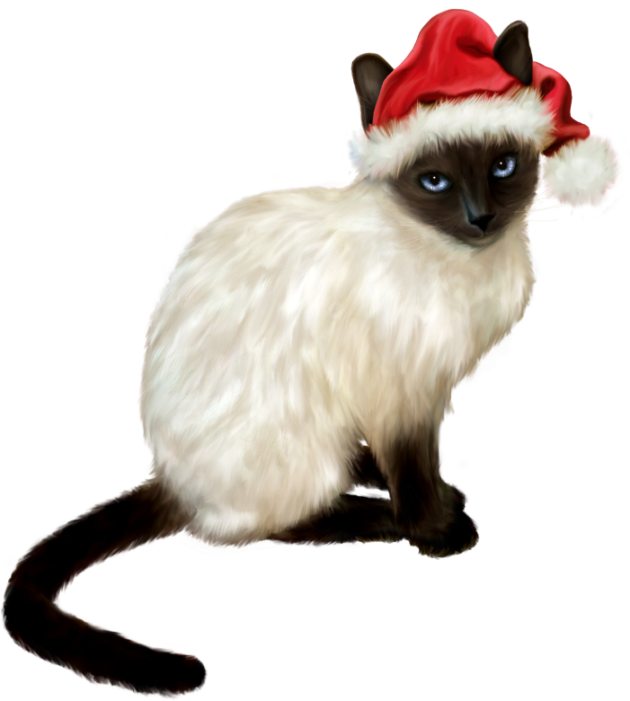 Christmas Dreams (17)