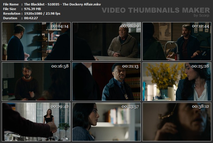 The Blacklist - S10E05 - The Dockery Affair.mkv