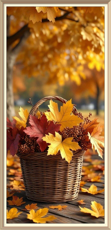 imageedit_2_6552651766