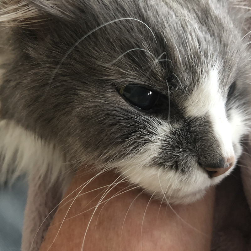 5F50611B-4A12-443F-AE57-7423798A3773