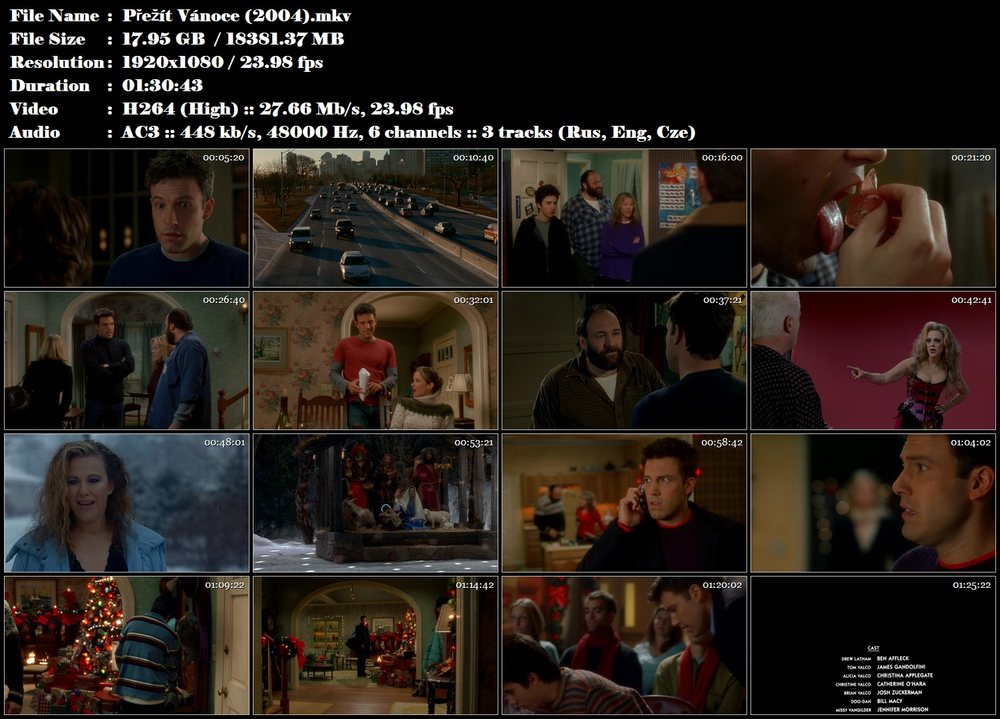 Přežít Vánoce / Surviving Christmas (2004)
