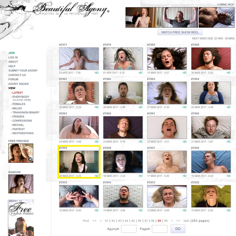 #2297429 image