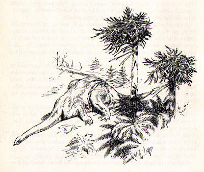 dead_brontosaurus_by_zdenek_burian (1)