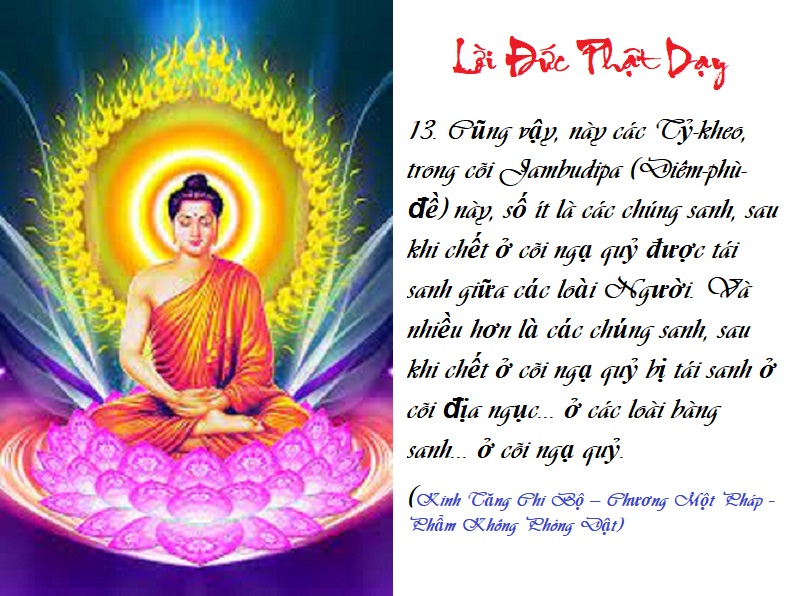 [Image: L-I-D-Y13b.jpg]