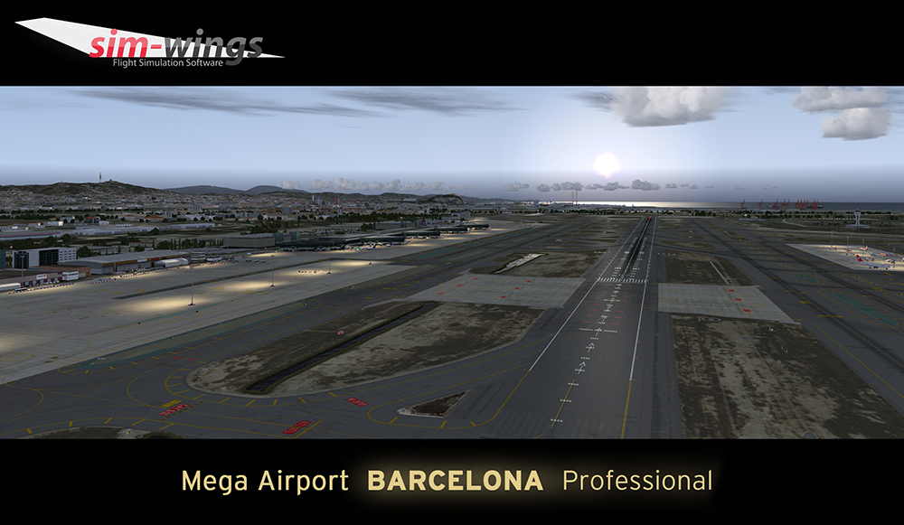 barcelona-professional (11)