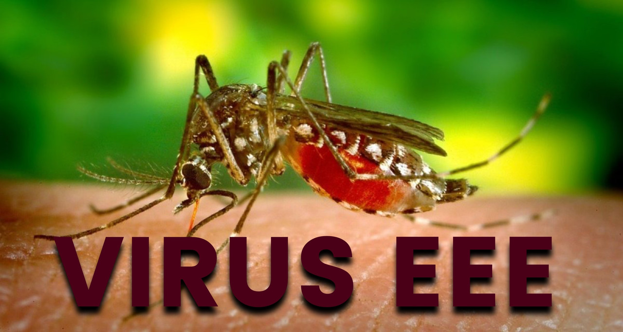 Alerta por el virus de la Encefalitis Equina del Este, es potencialmente mortal