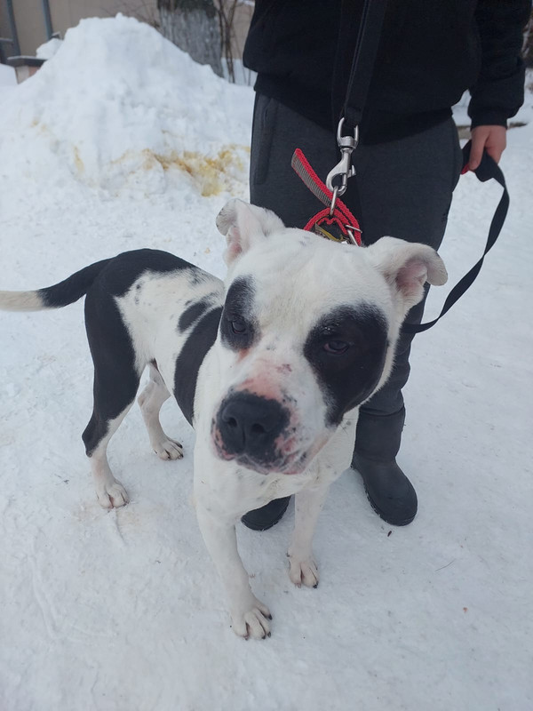 WhatsApp Image 2024-01-22 at 10.34.47 (1)