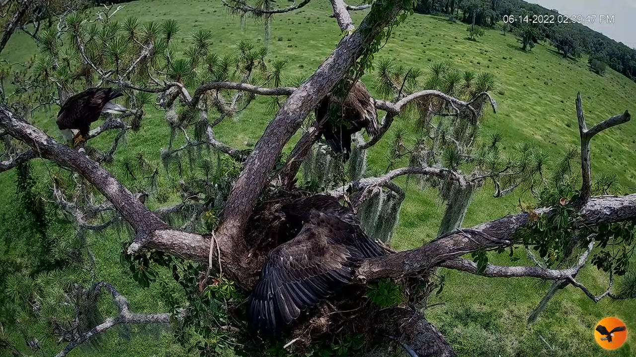 EC 4K Overhead Cam 1-13-29 screenshot