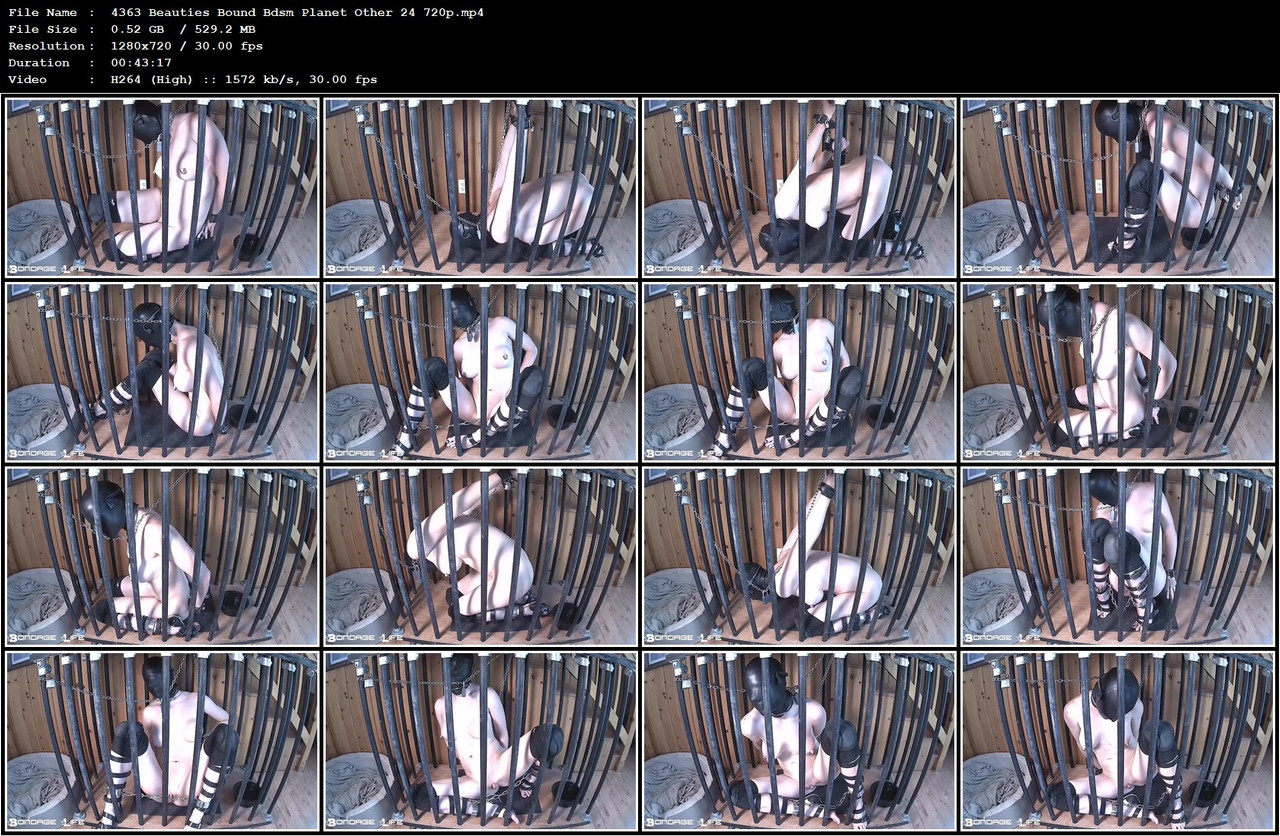 4363 Beauties Bound Bdsm Planet Other 24 720p mp4