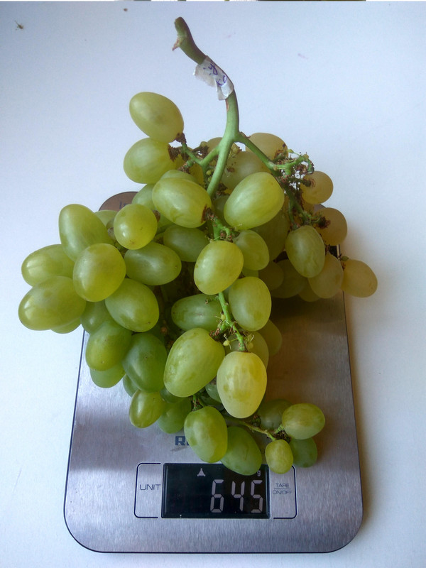 Супер-экстра фото от 22.08.2018..