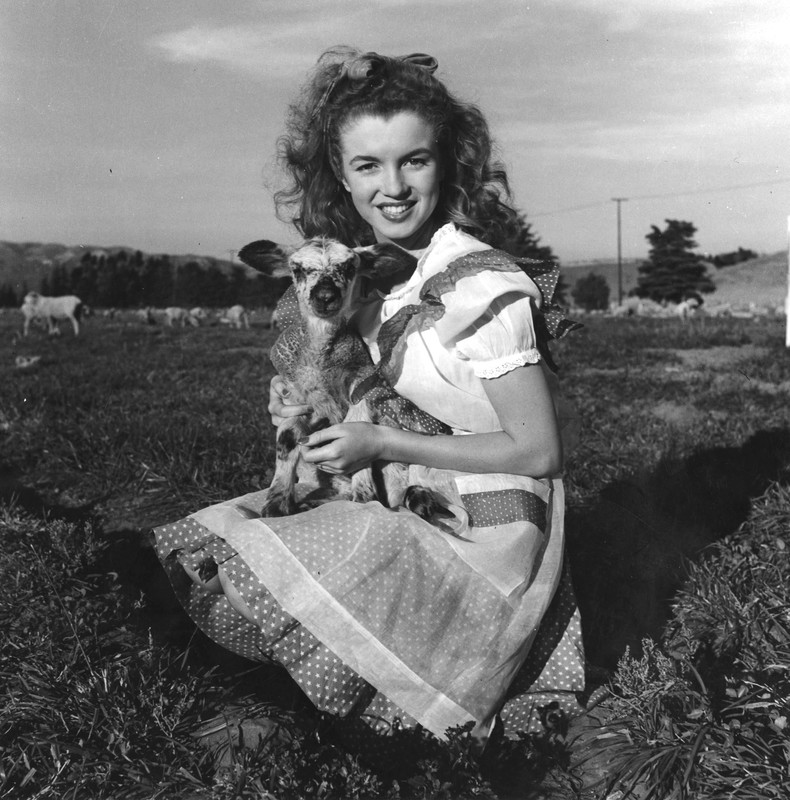 Marilyn_Monroe_a672