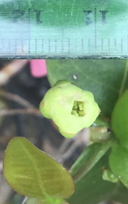 C03FCA7D-DF39-47CD-BEB7-F48FEFA5AFDD