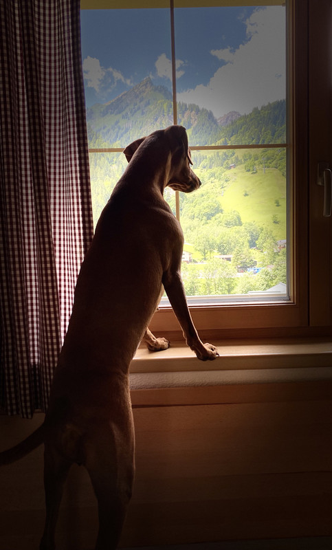 D0092ACA-C858-4B51-9FDC-6E42666FC3C9