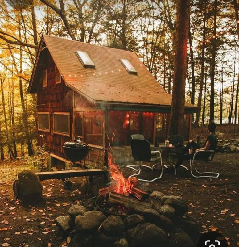 Screenshot_20231127_223928_Pinterest