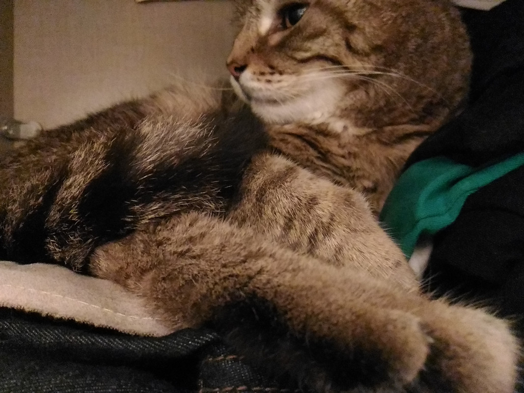 P_20191113_235232_LL