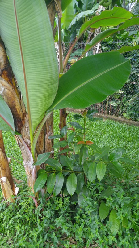 20170513_073518 (Copier)