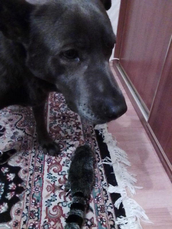 6A0AAD8C-E784-4B46-9DF1-18738C0E7289